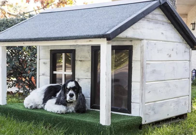 Choosing a Suitable Outdoor Shelter for Outdoor Pets in Winter