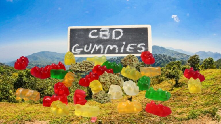 Choosing the Best CBD Gummies for Pain: Factors to Consider in 2024