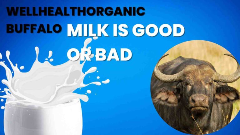Understanding WellHealth Organic Buffalo Milk