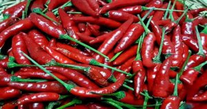 Bird’s Eye Chilli: The Fiery Spice of Culinary Delight