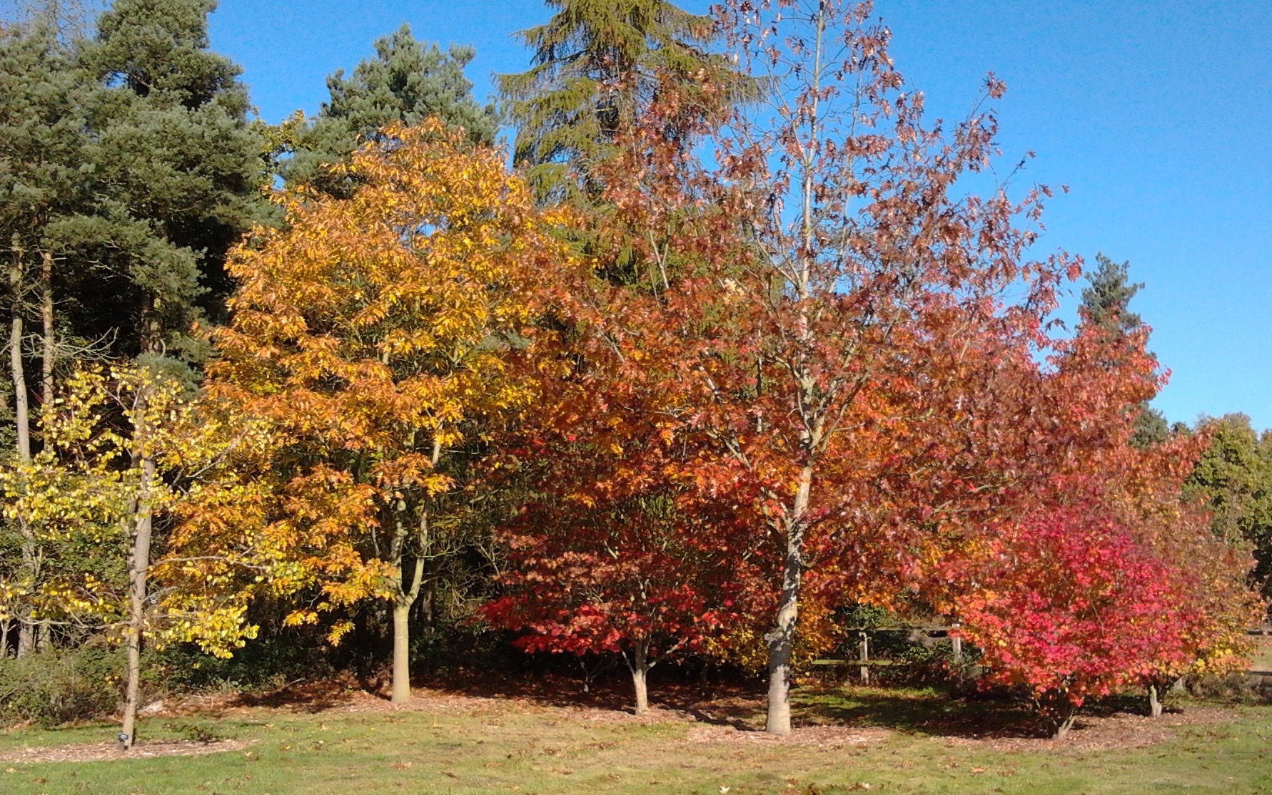 poems like to autumn and to a skylark